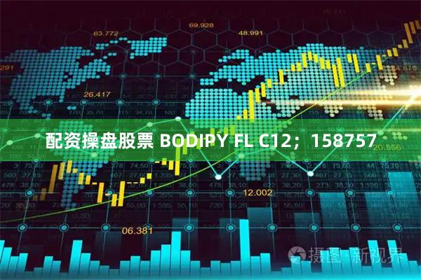 配资操盘股票 BODIPY FL C12；158757